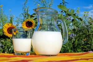 The Health Benefits of A2 Dairy